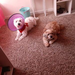 Meet your Posher, Judith